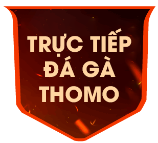 gathomo 06/10/2026