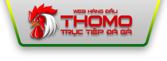 logolandingthomo 06/10/2026
